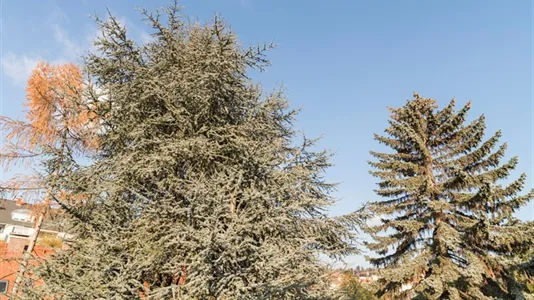 Apartments in Eggersdorf bei Graz - photo 8