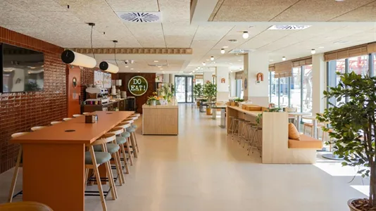 Apartments in Las Higueras - photo 10