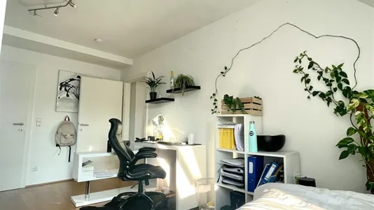 Rooms in Wien Währing - photo 3