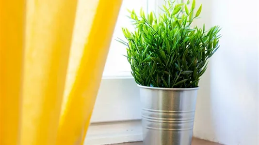 Rooms in Milano Zona 9 - Porta Garibaldi, Niguarda - photo 6