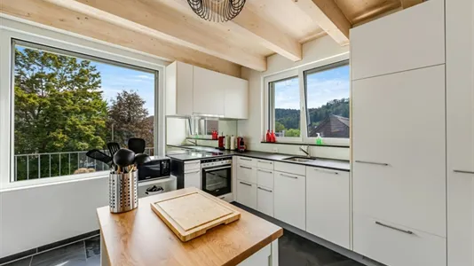 Apartments in Winterthur - photo 8