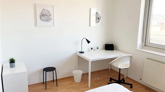 Rooms in Graz - photo 4
