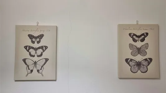 Apartments in Bologna - photo 4