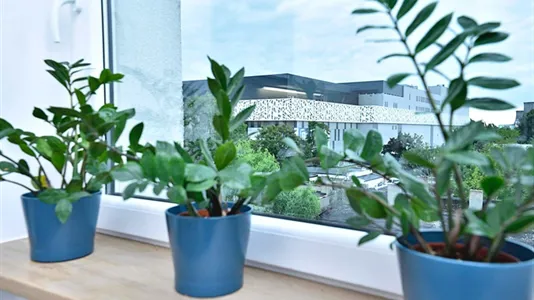 Apartments in Łódź - photo 5