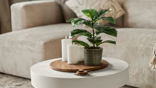 Apartments in Berlin Neukölln - photo 4