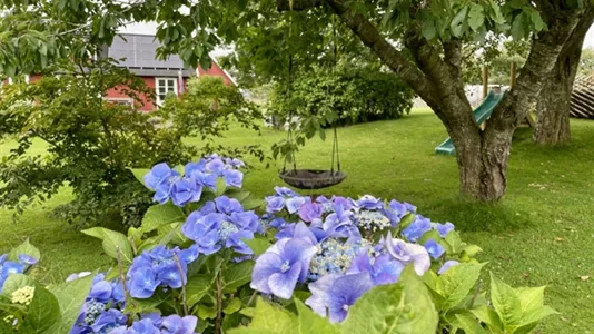 Houses in Båstad - photo 12