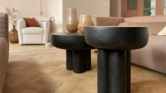 Apartments in Brussels Elsene - photo 8