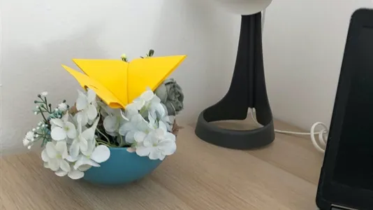 Rooms in Padua - photo 5