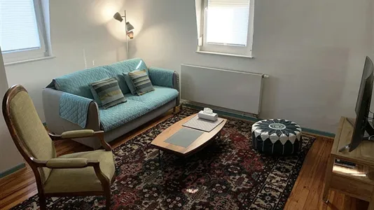 Apartments in Mulhouse - photo 4