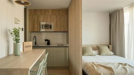 Apartments in Altsasu/Alsasua - photo 1