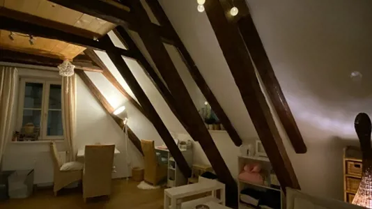 Apartments in Eggersdorf bei Graz - photo 3