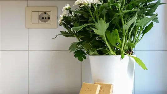 Apartments in Roma Municipio XII – Monte Verde - photo 5