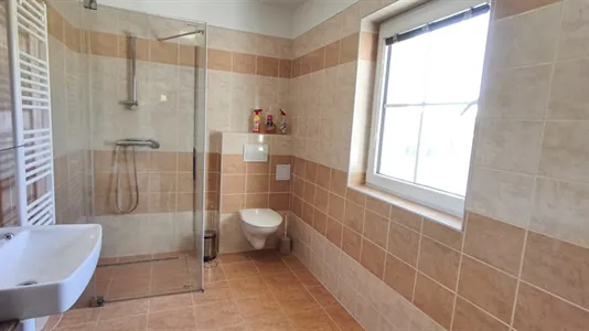 Apartments in Prachatice - photo 6