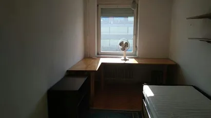 Room for rent in Besnica, Osrednjeslovenska