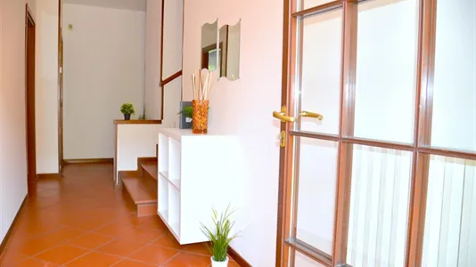 Rooms in Modena - photo 6