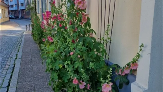 Apartments in Ystad - photo 12