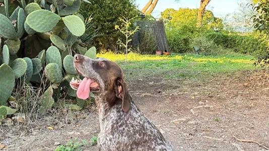 Apartments in Roma Municipio IX – EUR - photo 10