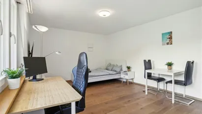 Apartment for rent in Schaffhausen, Schaffhausen (Kantone)