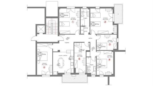 Rooms in Padua - photo 6