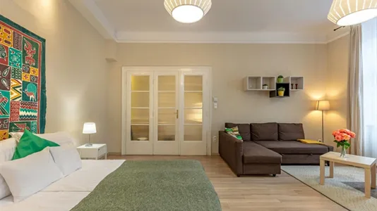 Apartments in Budapest Ferencváros - photo 6