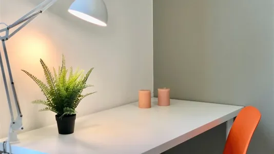 Rooms in Padua - photo 7