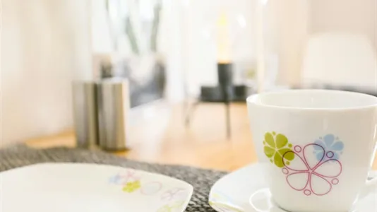 Apartments in Mannheim - photo 4