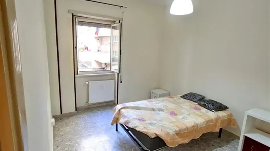 Rooms in Roma Municipio VIII – Appia Antica - photo 6