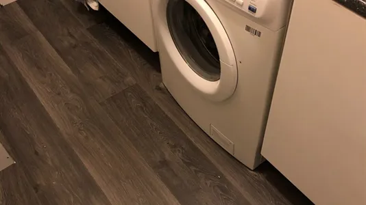 Rooms in Rotterdam Delfshaven - photo 9