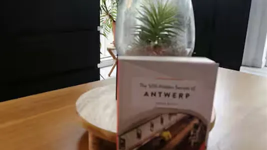 Apartments in Stad Antwerp - photo 4