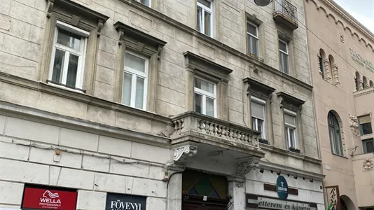 Apartments in Budapest Terézváros - photo 9