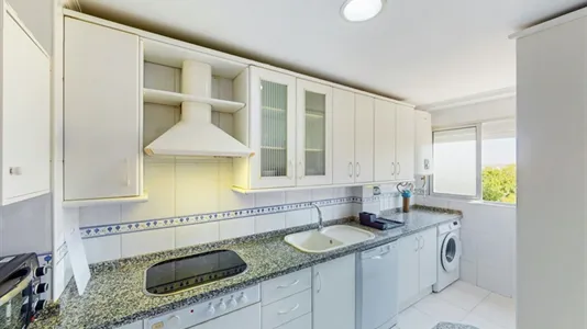 Rooms in Jerez de la Frontera - photo 8