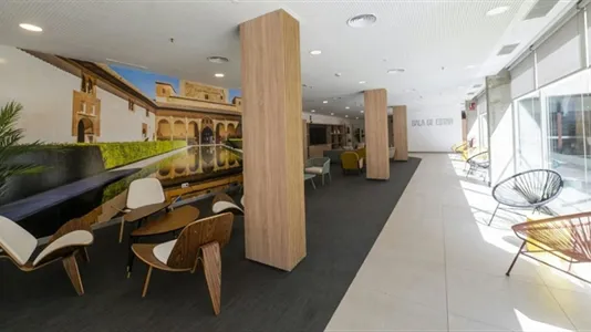 Rooms in Granada - photo 5