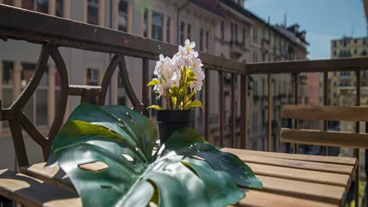 Rooms in Milano Zona 2 - Stazione Centrale, Gorla, Turro, Greco, Crescenzago - photo 9