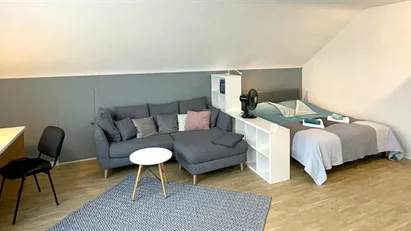 Apartment for rent in Rhein-Neckar-Kreis, Baden-Württemberg