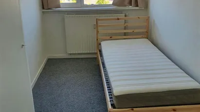 Room for rent in Amsterdam