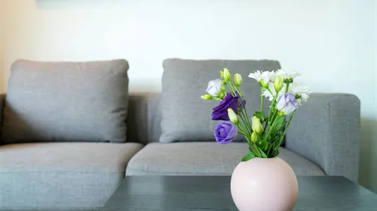 Apartments in Vienna Hietzing - photo 9