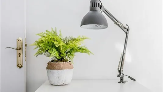 Rooms in Valencia Ciutat Vella - photo 9