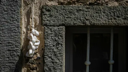 Houses in La Spezia - photo 6