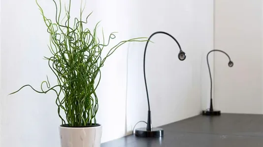 Rooms in Milano Zona 6 - Barona, Lorenteggio - photo 5