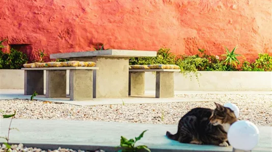 Rooms in Location is not specified - photo 7