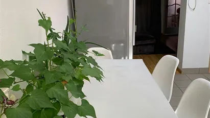 Room for rent in Stad Antwerp, Antwerp