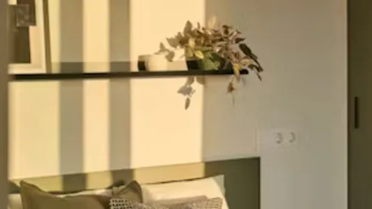 Rooms in Madrid Centro - photo 4