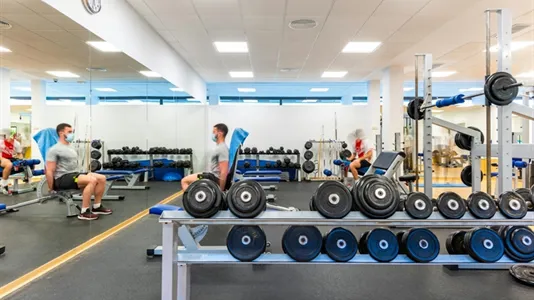 Apartments in Bami - photo 9