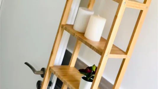 Rooms in Padua - photo 10