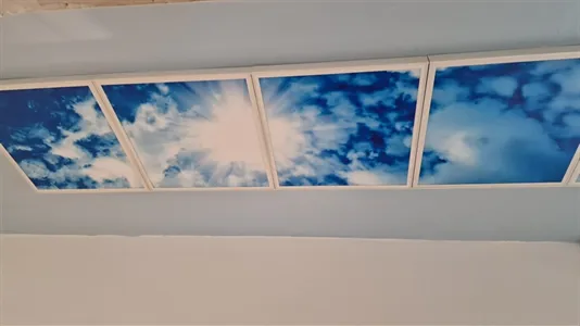 Rooms in Turin - photo 5