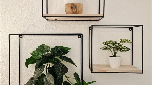 Apartments in Darmstadt - photo 8