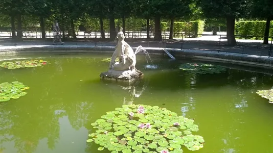 Rooms in Wien Meidling - photo 8