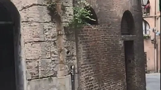 Rooms in Siena - photo 6