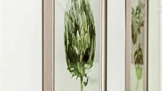 Rooms in Budapest Erzsébetváros - photo 8