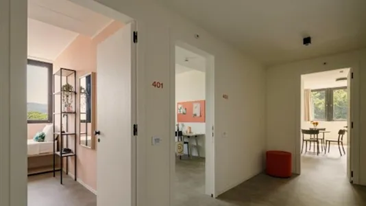 Rooms in Turin - photo 6